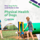 Physical Health of Dogs